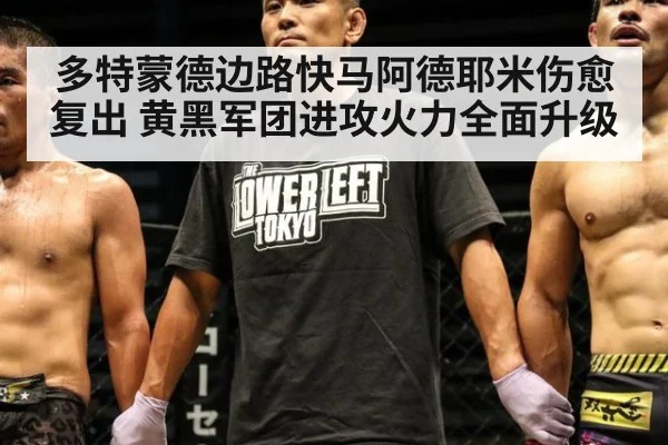 多特蒙德边路快马阿德耶米伤愈复出 黄黑军团进攻火力全面升级